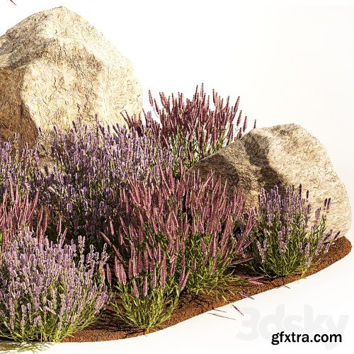 3dsky Pro - A set of lavender bushes for the garden and alpine slide, boulder, stone, catnip, sage, wild flowers. 1191
