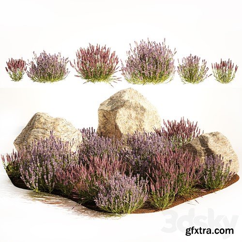 3dsky Pro - A set of lavender bushes for the garden and alpine slide, boulder, stone, catnip, sage, wild flowers. 1191