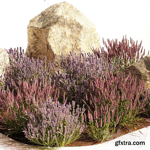 3dsky Pro - A set of lavender bushes for the garden and alpine slide, boulder, stone, catnip, sage, wild flowers. 1191