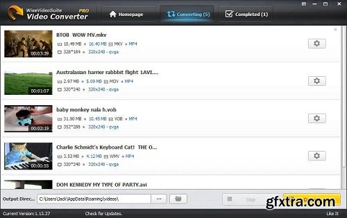 Wise Video Converter Pro 3.1.4.269
