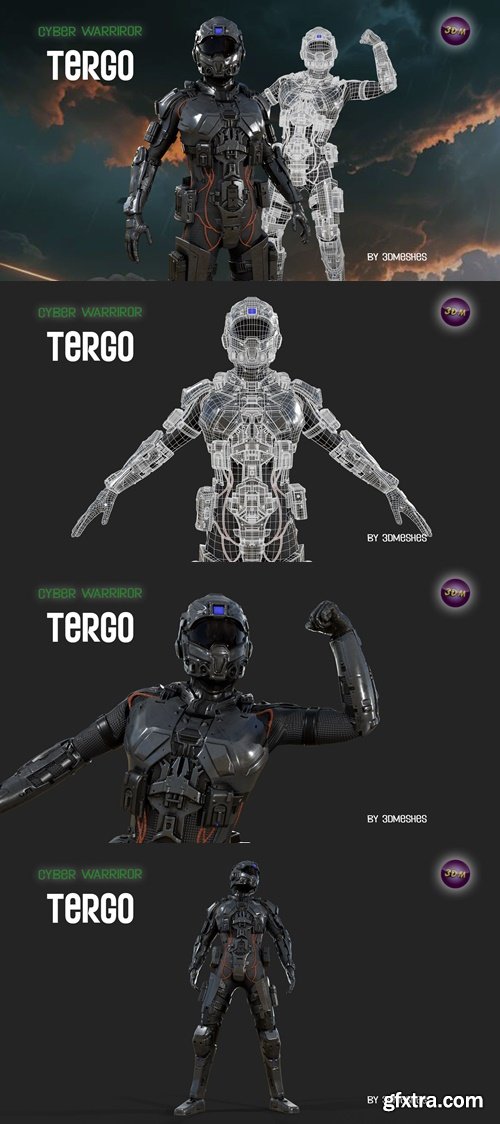 Renderhub - Cyber Warrior – TERGO 3D model