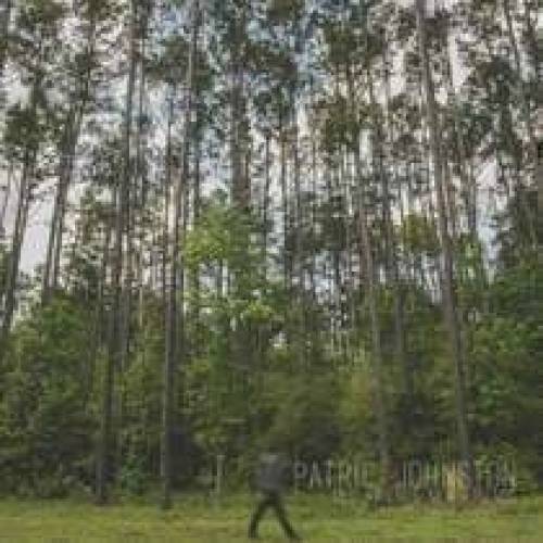 'Audiio - Get's Worse (Instrumental) - Patric Johnston'