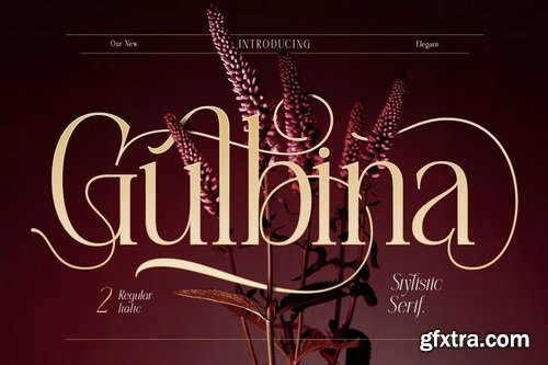 CreativeMarket - Gulbina Font