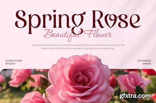 Women Lovely Feminine Serif Font