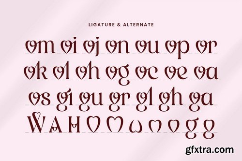 Women Lovely Feminine Serif Font