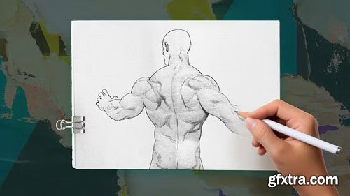 Domestika - Guided project: Draw male superhero anatomy