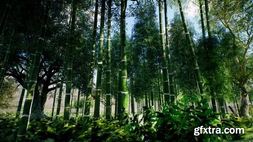 Fab - Bamboo Asian forest