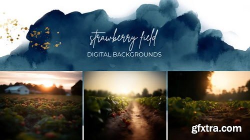 Finding North Education - Strawberry Field Digital Backgrounds