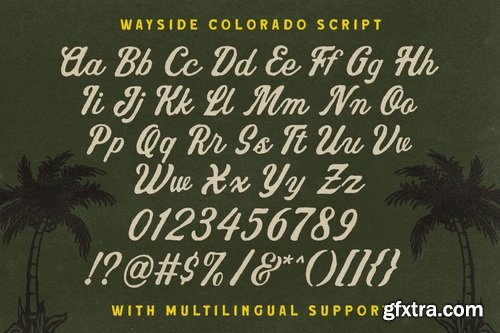 CreativeMarket - Wayside Colorado Font Collection