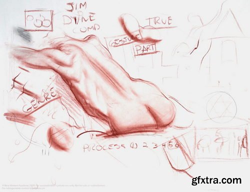 NMA / New Masters Academy - Art Anatomy for Beginners