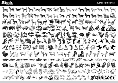 Over 26,000 Monochrome Vector Cliparts & Shadows 71xAI