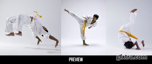 Artstation - 350+ Martial Arts Reference Pictures