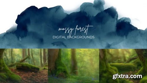Finding North Education - Mossy Forest Digital Backgrounds