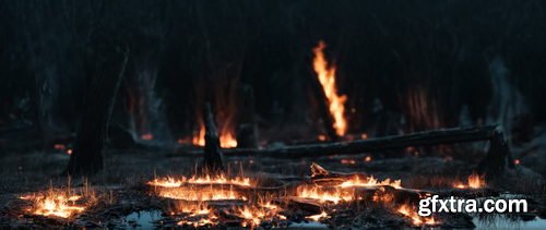 Blendermarket - Real Fire 1.1 - Vdb Assets Library
