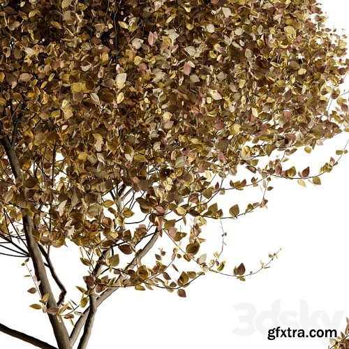 3dsky Pro - Outdoor Plant Vol2 01