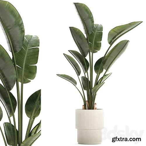 3dsky Pro - Double bed 144