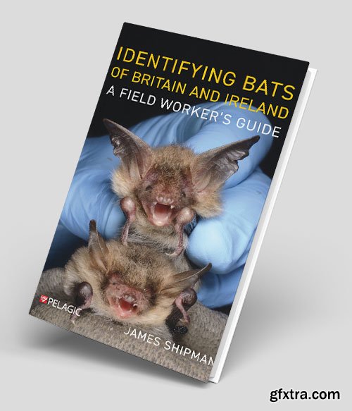 Identifying Bats of Britain and Ireland: A Field Worker’s Guide