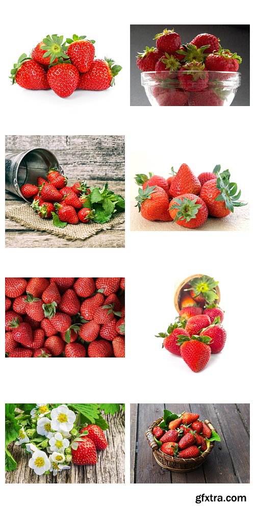 Strawberry #3, 25xJPG