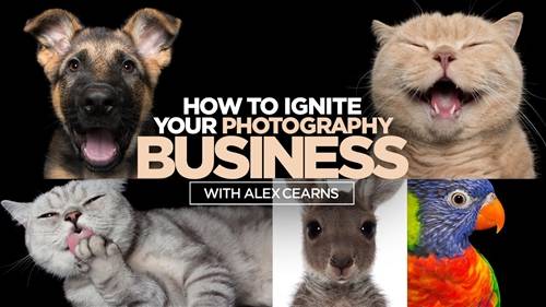 'KelbyOne - How to Ignite Your Photography Business' 'KelbyOne - How to Ignite Your Photography Business'