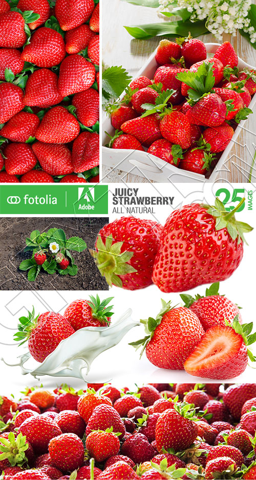 Juicy Strawberry 19xJPG