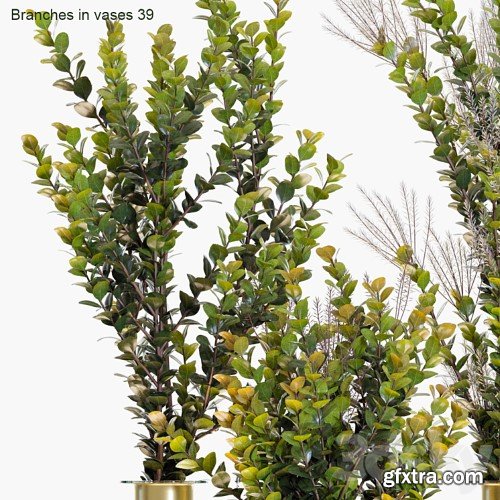 3dsky Pro - Branches in vases 39