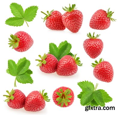 Juicy Strawberry 19xJPG Juicy Strawberry 19xJPG
