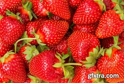 Juicy Strawberry 19xJPG Juicy Strawberry 19xJPG