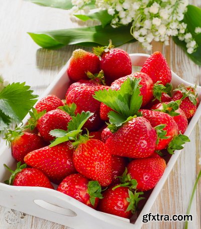 Juicy Strawberry 19xJPG Juicy Strawberry 19xJPG