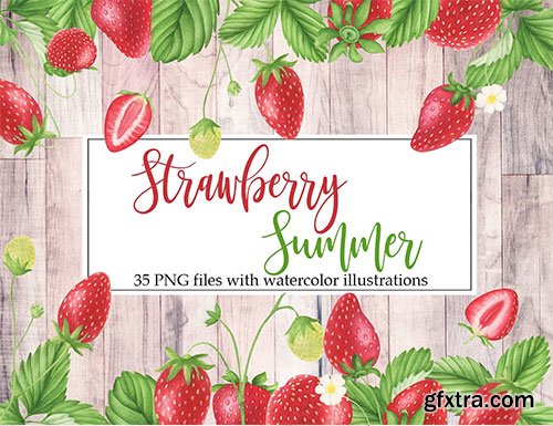 Watercolor Strawberry Clipart 35xPNG 3801940