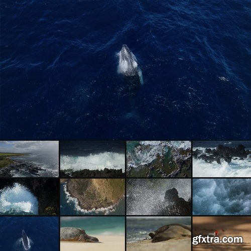 ArtList - Maui Magic - 4K ProRes UHQ Collections
