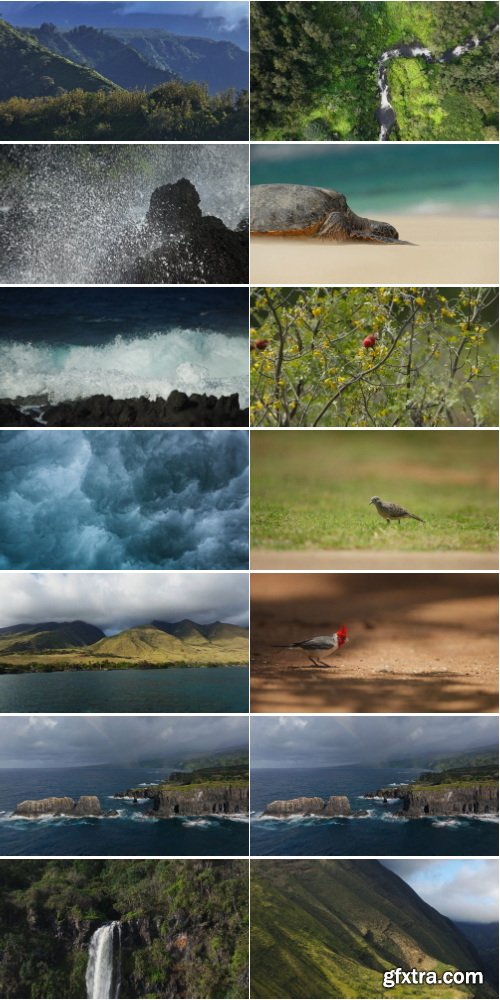 ArtList - Maui Magic - 4K ProRes UHQ Collections