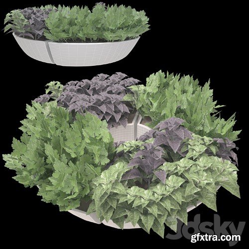 3dsky Pro - Decor with herbs
