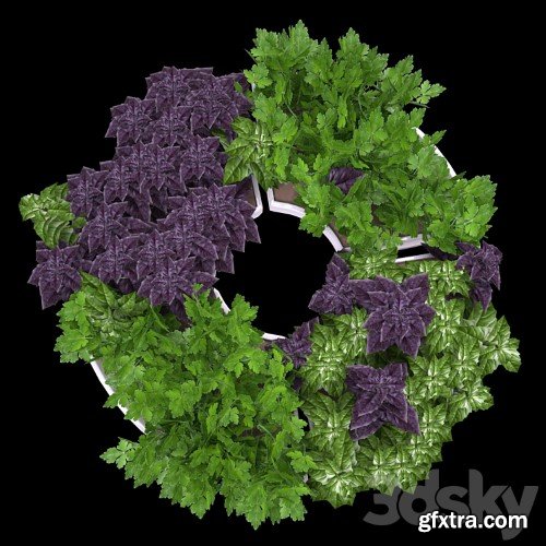 3dsky Pro - Decor with herbs