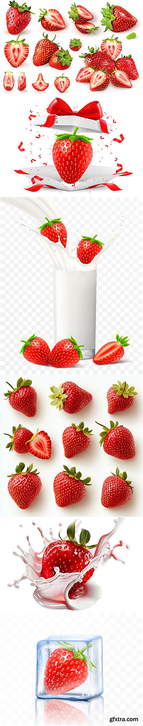 Strawberry vector collection- strawberries in milk, strawberries with ice, strawberries in splashes of water, strawberry flowers