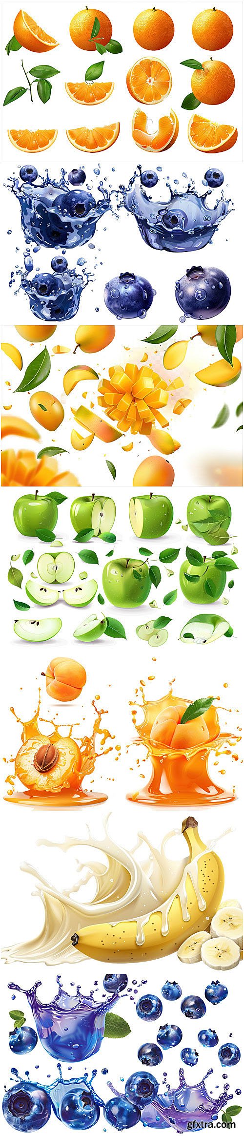 Berries, fruits vector collection - raspberry, strawberry, peach, watermelon, blueberry, banana, apple, cherry, grapes, pineapple, apricot
