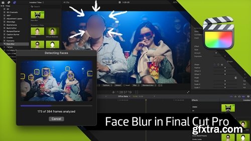 FxFactory - Face Blur 2.1 for Final Cut