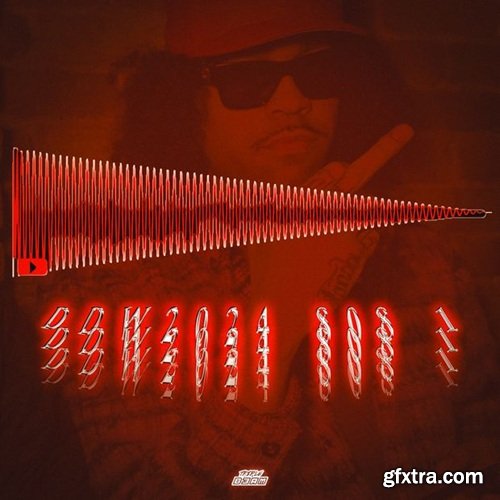 Deedotwill DDW2024 808 1