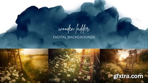 Finding North Education - Wooden Ladder Digital Backgrounds