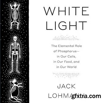 White Light: The Elemental Role of Phosphorus-in Our Cells, in Our Food, and in Our World