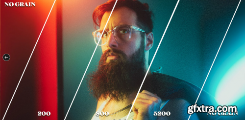 All in One Grain Lightroom presets v2.001