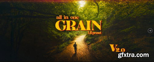 All in One Grain Lightroom presets v2.001