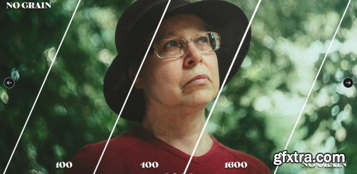 All in One Grain Lightroom presets v2.001