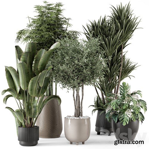 3dsky Pro - Indoor Plants in Ferm Living Bau Pot Large - Set 1325