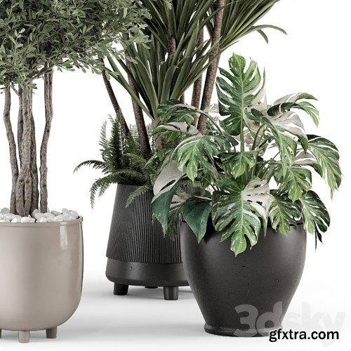 3dsky Pro - Indoor Plants in Ferm Living Bau Pot Large - Set 1325