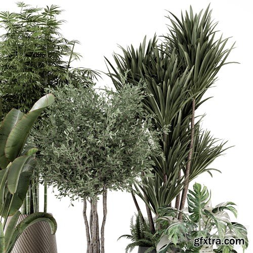 3dsky Pro - Indoor Plants in Ferm Living Bau Pot Large - Set 1325