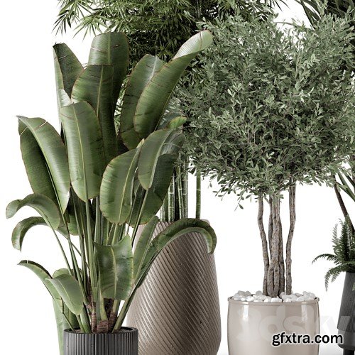 3dsky Pro - Indoor Plants in Ferm Living Bau Pot Large - Set 1325