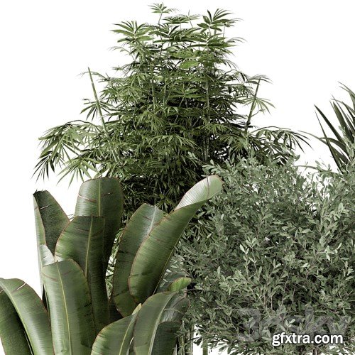 3dsky Pro - Indoor Plants in Ferm Living Bau Pot Large - Set 1325