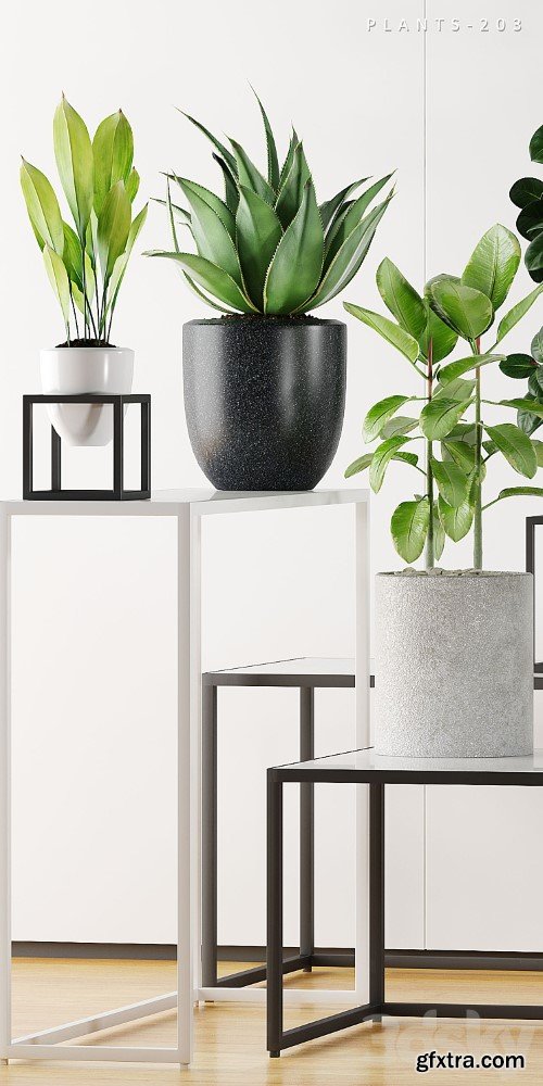 3dsky Pro - PLANTS 203