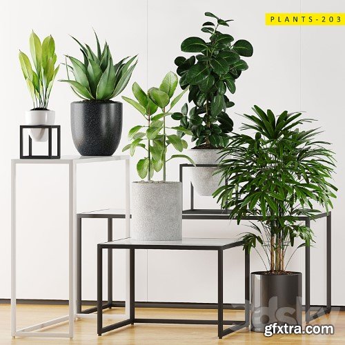 3dsky Pro - PLANTS 203