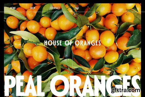 CreativeMarket - Polienz 